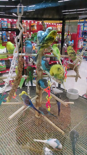 Pet Supply Store «Petco Animal Supplies», reviews and photos, 308 E Meighan Blvd, Gadsden, AL 35903, USA