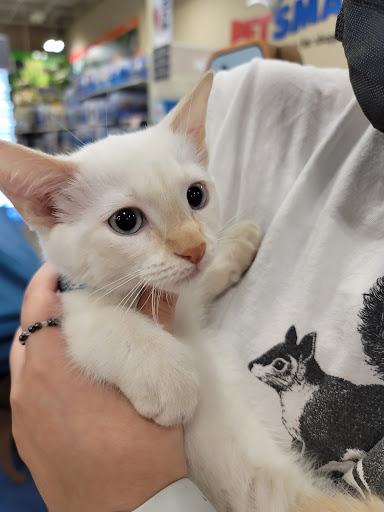 Pet Supply Store «PetSmart», reviews and photos, 555 S Cotton Ln, Goodyear, AZ 85338, USA