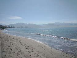 Sea Turtles beach'in fotoğrafı imkanlar alanı