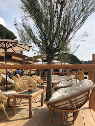 Photo n°90 de Jardin Tropezina à Saint-Tropez ()