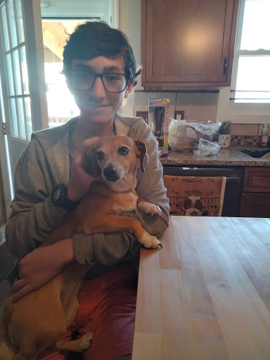 Pet Supply Store «Pet Supplies Plus», reviews and photos, 254 S Illinois Ave, Oak Ridge, TN 37830, USA