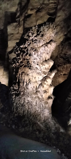 Tourist Information Center «Carlsbad Caverns National Park Headquarters», reviews and photos