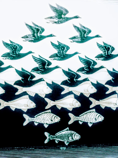 Art Museum «Museum of Art-DeLand», reviews and photos, 600 N Woodland Blvd, DeLand, FL 32720, USA