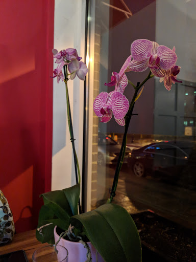 Wine Store «Veritas Wine & Craft Beer», reviews and photos, 321 Justison St, Wilmington, DE 19801, USA