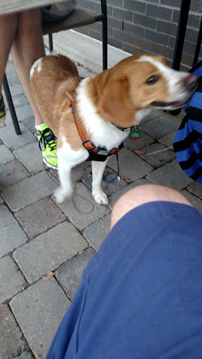 Dessert Restaurant «Steel City Pops», reviews and photos, 1021 Bardstown Rd, Louisville, KY 40204, USA