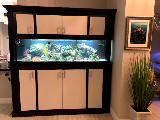 Tropical Fish Store «Hooked On Reefs», reviews and photos, 228 Hibiscus St #1, Jupiter, FL 33458, USA