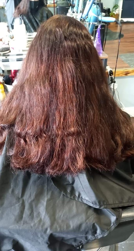 Heads Up Hair Design 29461