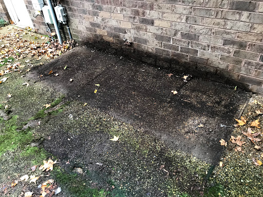 Moving Company «College Hunks Hauling Junk and Moving», reviews and photos, 4904 Rutherford Rd #101, Virginia Beach, VA 23455, USA