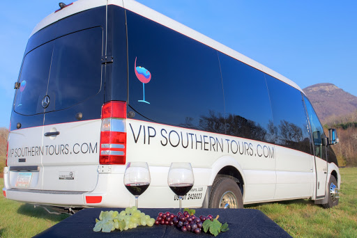 Travel Agency «VIP Travel & VIP Southern Tours & Georgia Wine Bus», reviews and photos, 2276 GA-17 c, Sautee Nacoochee, GA 30571, USA