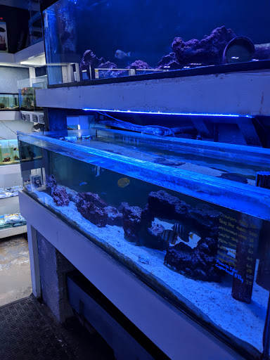 Pet Supply Store «Exotic Aquatic», reviews and photos, 275 E Oakland Park Blvd, Fort Lauderdale, FL 33334, USA