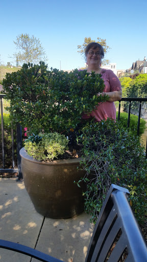 Pottery Store «Pottery World», reviews and photos, 1006 White Rock Rd, El Dorado Hills, CA 95762, USA