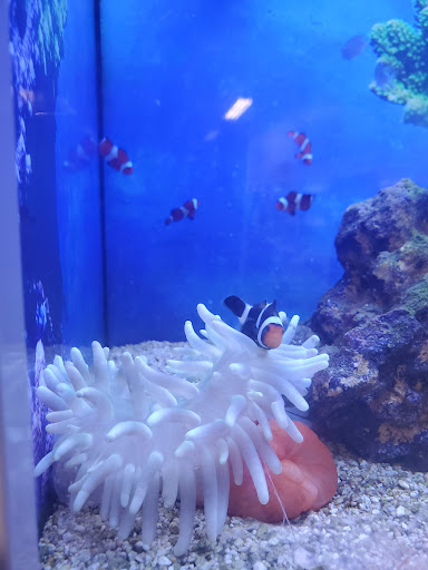 Pet Supply Store «Petco Animal Supplies», reviews and photos, 2140 E Blvd St, Kokomo, IN 46902, USA