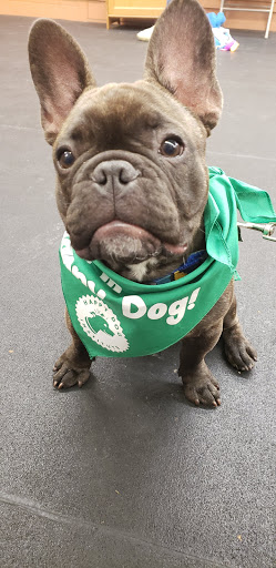 Pet Supply Store «Fluffy & Floyd Pet Supply», reviews and photos, 5211 Capitol Blvd SE, Tumwater, WA 98501, USA