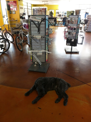 Bicycle Store «Competitive Edge Cyclery», reviews and photos, 9889 E Foothill Blvd, Rancho Cucamonga, CA 91730, USA