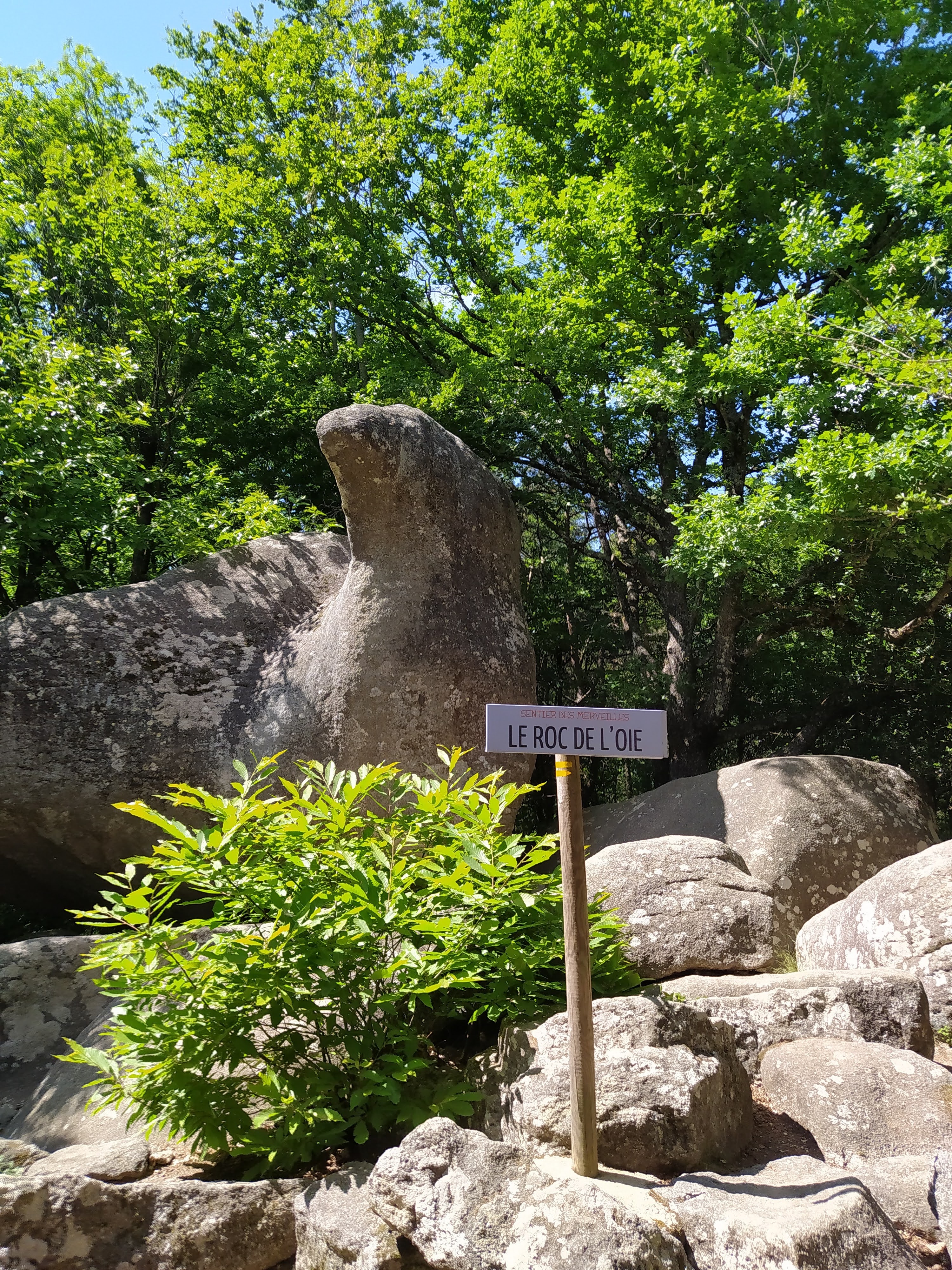 Photo n° 1 de l'avis de françoise.l fait le 09/06/2022 à 14:05