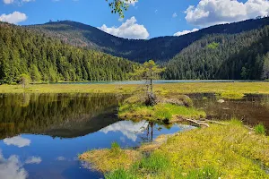 Kleiner Arbersee image