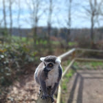 Photo n°1 de l'avis de Nadine.p fait le 31/03/2024 à 07:43 sur le  Tier-Erlebnispark Bell à Bell