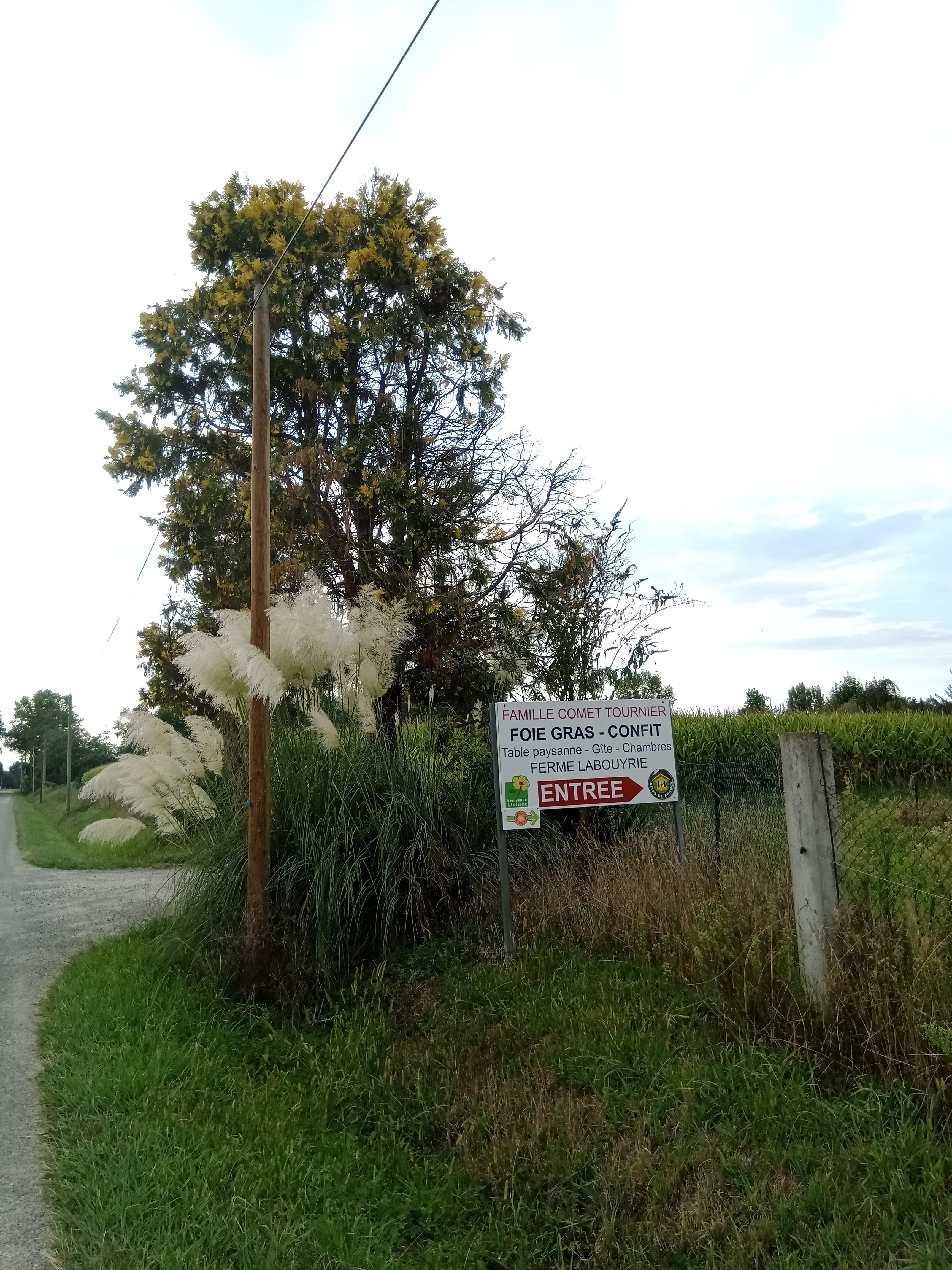 Photo n° 1 de l'avis de SERGE.P fait le 09/09/2021 à 15:20