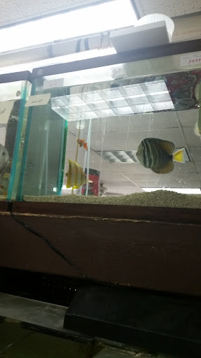 Tropical Fish Store «J B Tropical Fish», reviews and photos, 1950 N Black Horse Pike, Williamstown, NJ 08094, USA