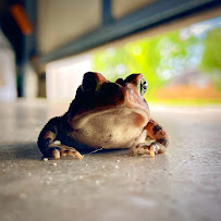 Kleen Breeze Inc. - Photo 4 - Car repair in Leland, NC, Wilmington