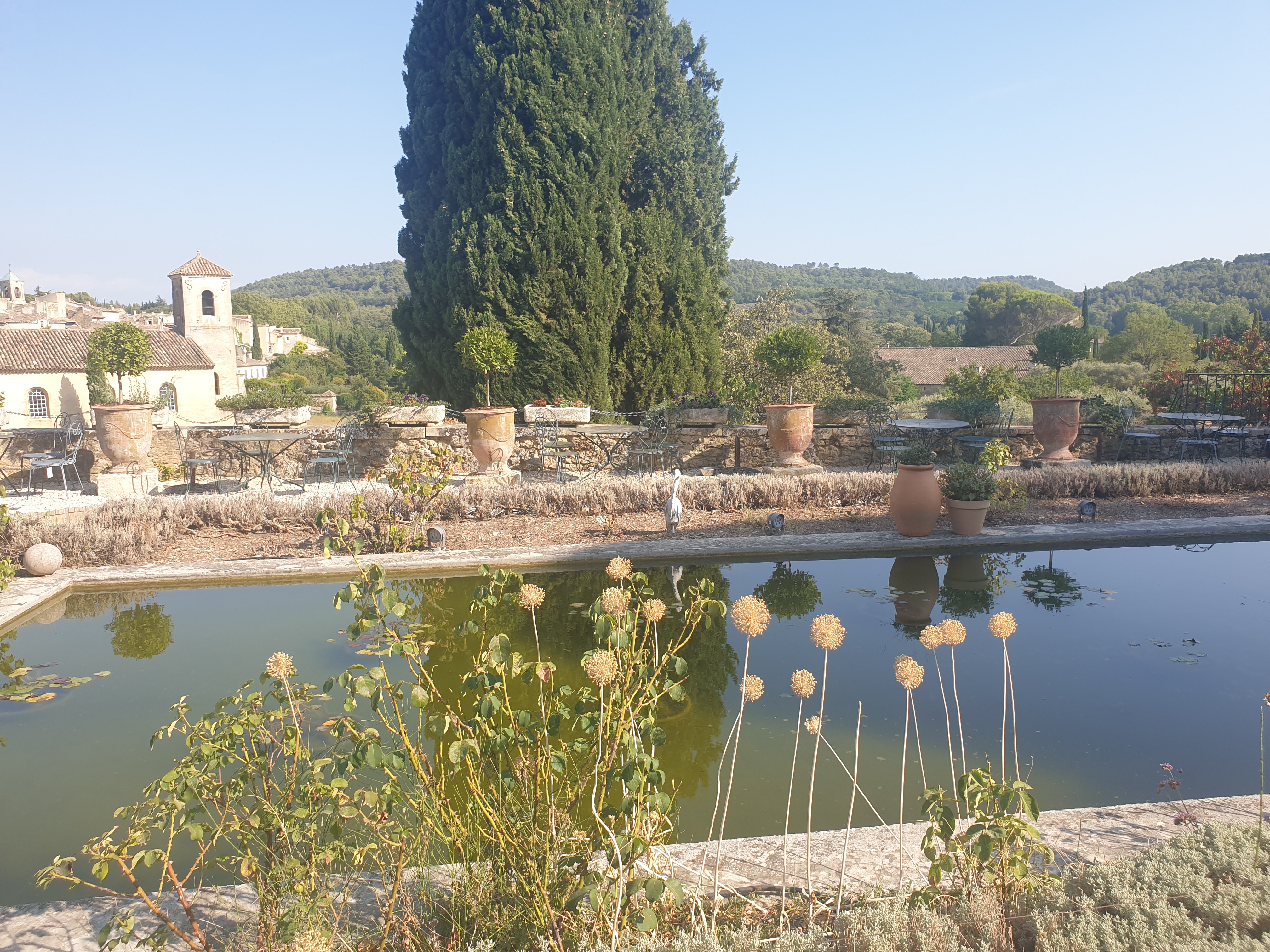 Photo n° 1 de l'avis de Corberant.e fait le 15/08/2022 à 19:50