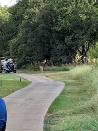 Golf Club «SilverHorn Golf Club», reviews and photos, 1100 W Bitters Rd, San Antonio, TX 78216, USA