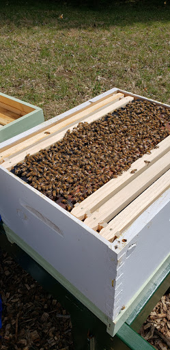 Winery «Pickers Creek Winery», reviews and photos, 1986 New Columbia Hwy, Lewisburg, TN 37091, USA