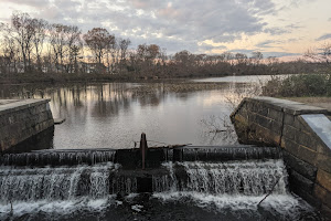 Twin Lakes Preserve