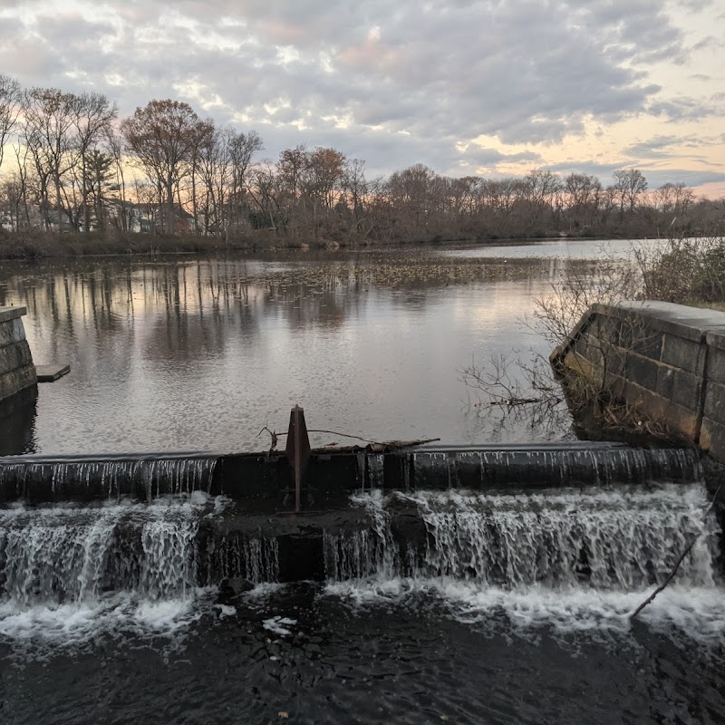 Twin Lakes Preserve