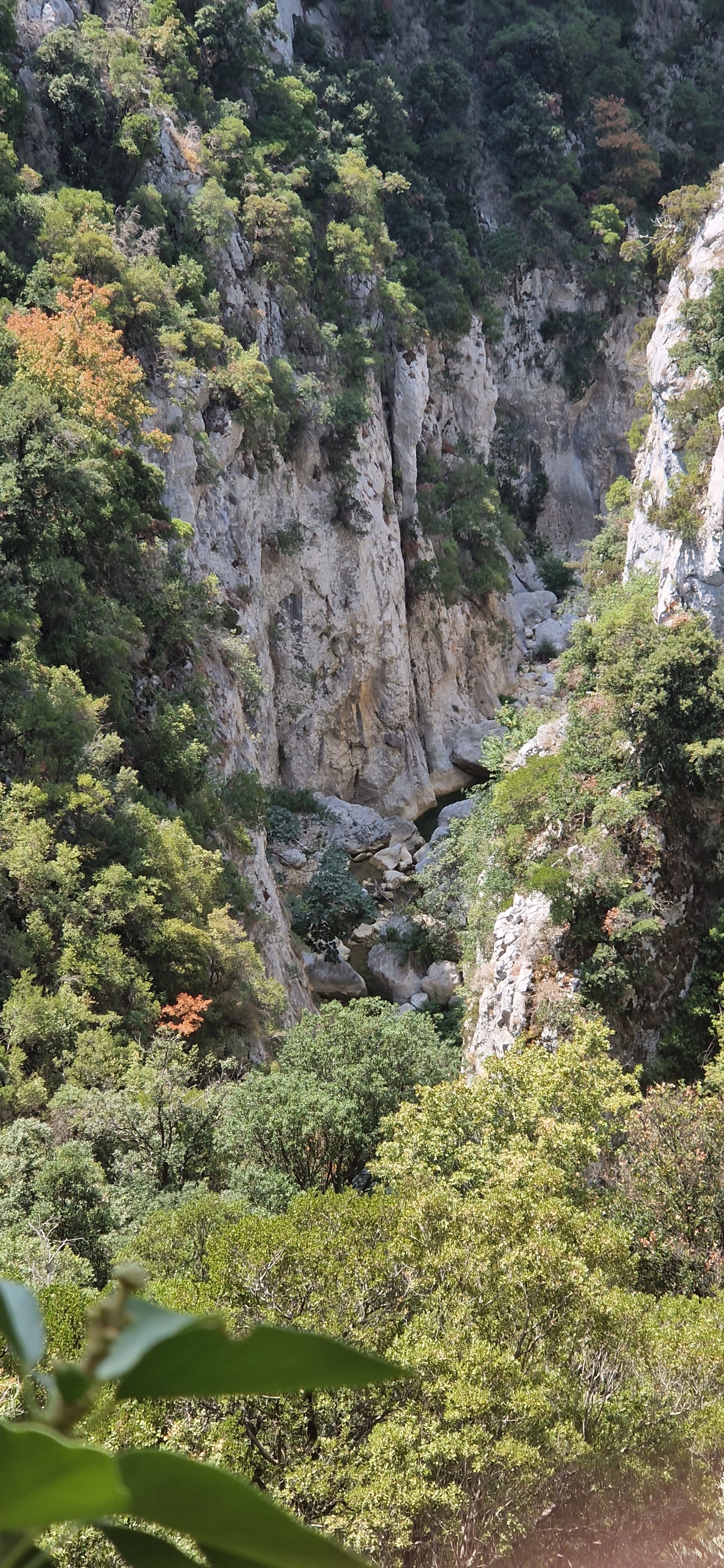 Photo n° 4 de l'avis de julien.l fait le 15/08/2022 à 15:44