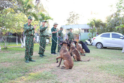 Huấn Luyện Chó - Trung tâm huấn luyện chó Sài Gòn DTC