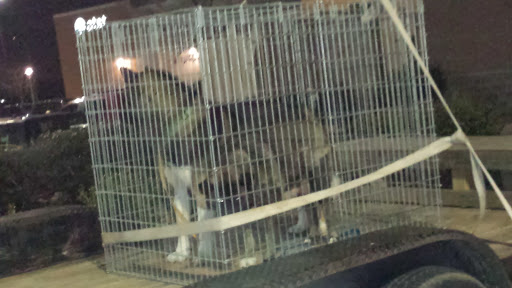 Pet Supply Store «PetSmart», reviews and photos, 2309 I-20, Grand Prairie, TX 75052, USA