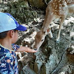 Photo n°2 de l'avis de monica.i fait le 04/09/2022 à 14:45 sur le  Donnortei à Fonni