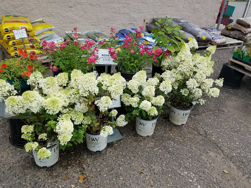 Hardware Store «Ham Lake Hardware Hank», reviews and photos, 17426 MN-65, Ham Lake, MN 55304, USA