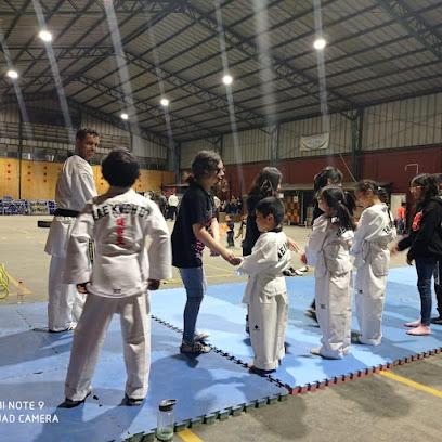 Academia Taekwondo San Saja
