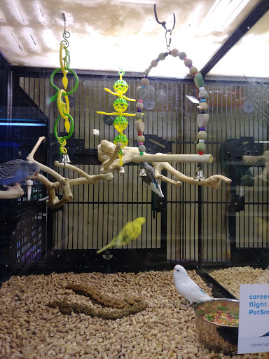Pet Supply Store «PetSmart», reviews and photos, 150 Lincoln Square, Arlington, TX 76011, USA