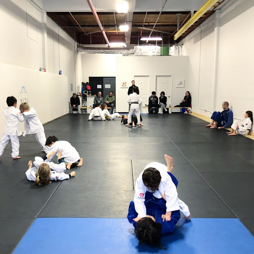 Mizu Studio Jiu-Jitsu, Muay Thai, Wrestling