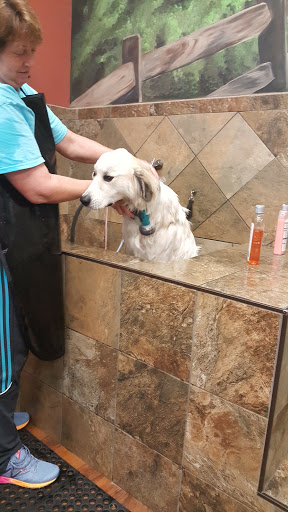 Pet Supply Store «Pet Valu», reviews and photos, 1308 Main Chapel Way, Gambrills, MD 21054, USA