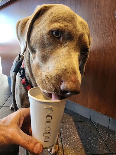 Starbucks image