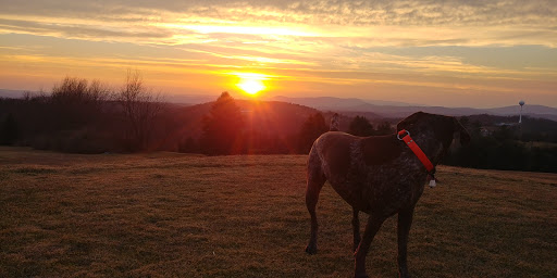 Golf Course «Summit Hills Golf Course», reviews and photos, 1235 Country Club Rd, Clarks Summit, PA 18411, USA