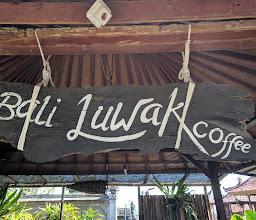 Bali Luwak Coffee photo