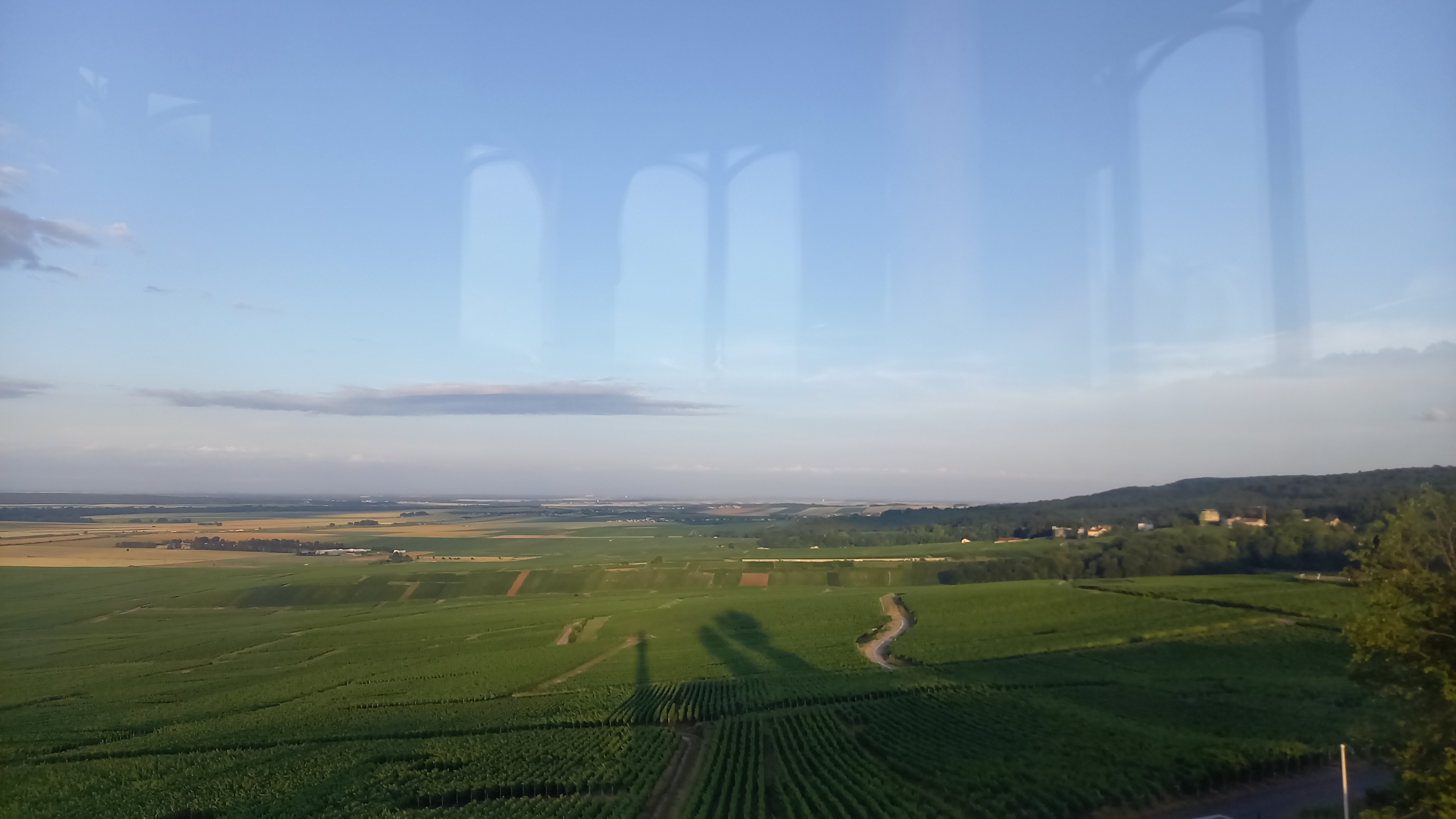 Photo n° 16 de l'avis de Nicolas.u fait le 20/06/2023 à 20:16