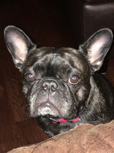 Jewelry Store «Harris Jewelers», reviews and photos, 4101 Mexico Rd, St Peters, MO 63376, USA