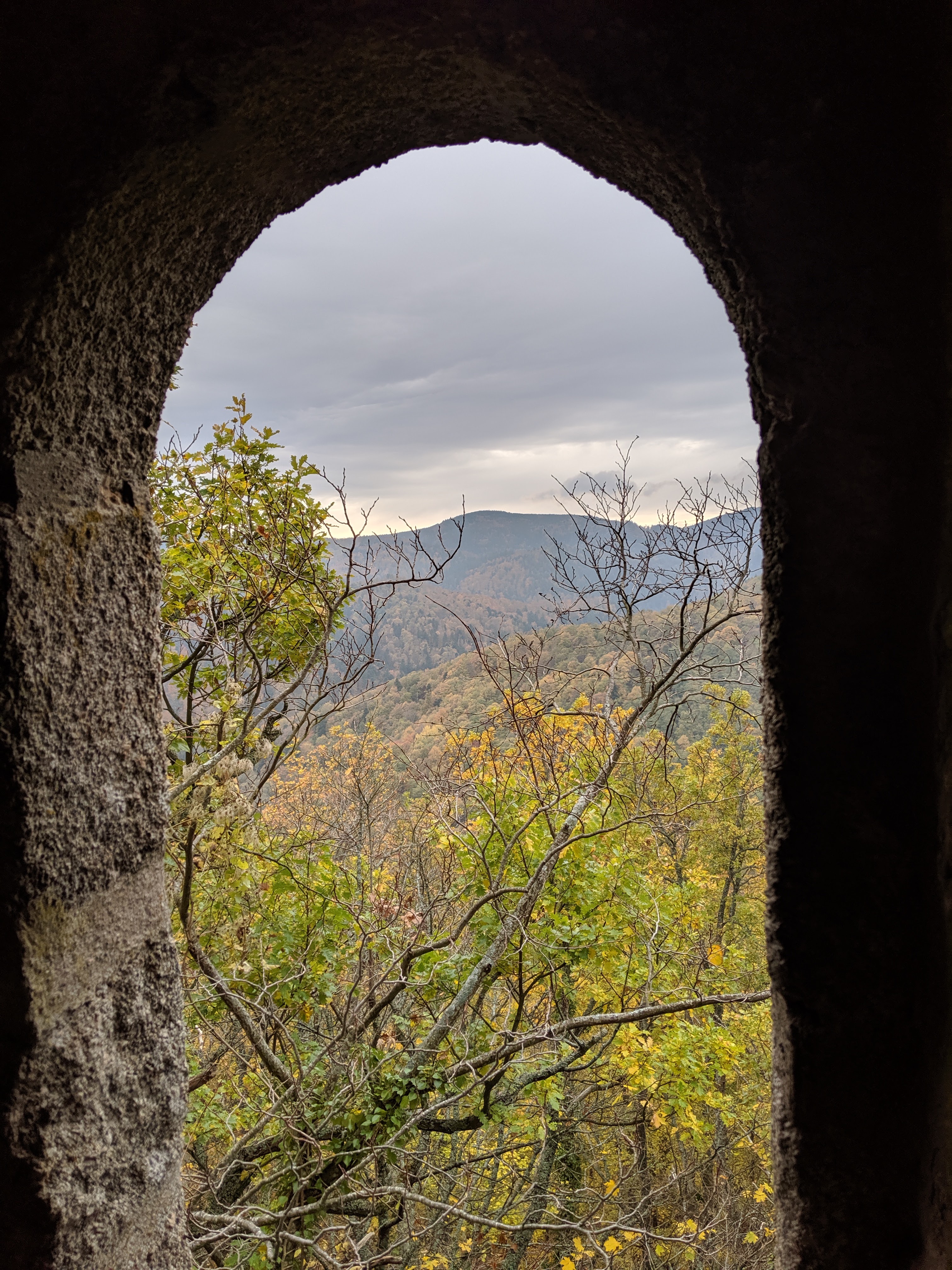 Photo n° 1 de l'avis de aurelien.a fait le 11/11/2019 à 16:48