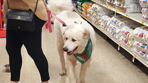 Pet Supply Store «PetSmart», reviews and photos, 131 Highlands Blvd Dr, Manchester, MO 63011, USA