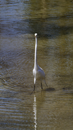 Park «Bare Cove Park», reviews and photos, Bare Cove Park Dr & Fort Hill St, Hingham, MA 02043, USA