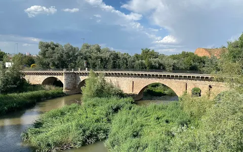 Puente Árabe de Guadalajara image