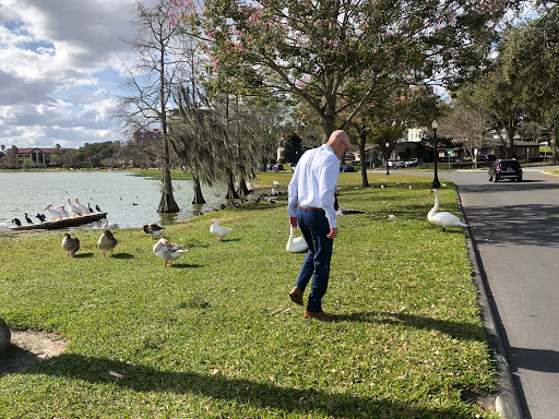 Social Security Attorney «Brooks Law Group», reviews and photos