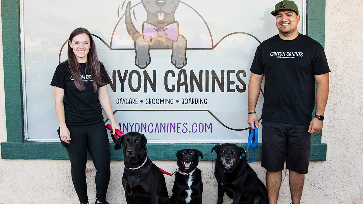 Canyon Canines