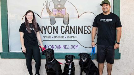 Canyon Canines